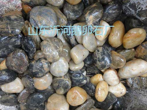变压器鹅卵石，鹅卵石滤料
