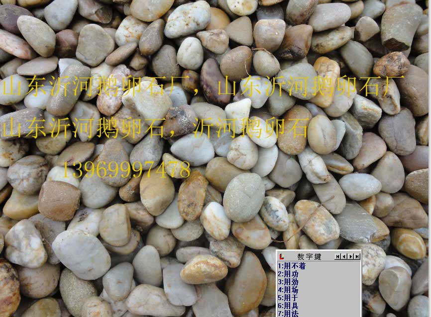 变压器鹅卵石，鹅卵石滤料
